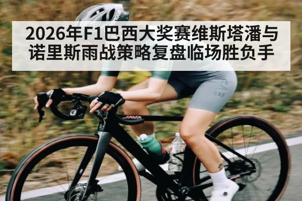 2026年F1巴西大奖赛维斯塔潘与诺里斯雨战策略复盘临场胜负手 - kaiyun