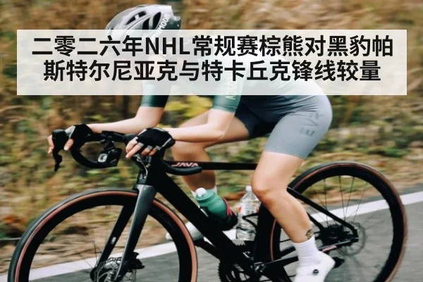 二零二六年NHL常规赛棕熊对黑豹帕斯特尔尼亚克与特卡丘克锋线较量（kaiyun app）